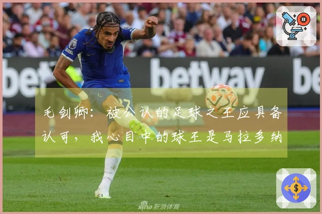 毛剑卿：被公认的足球之王应具备认可，我心目中的球王是马拉多纳